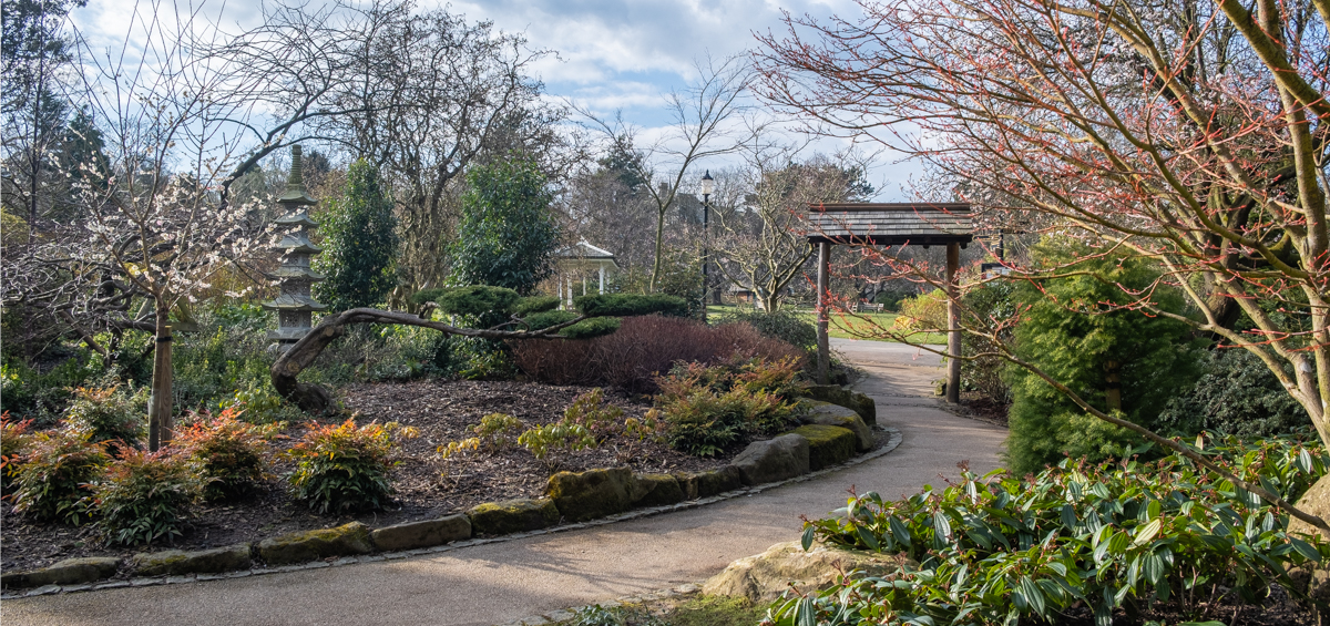 Spring Harrogate Valley Gardens 168 Japanese Garden looking out
