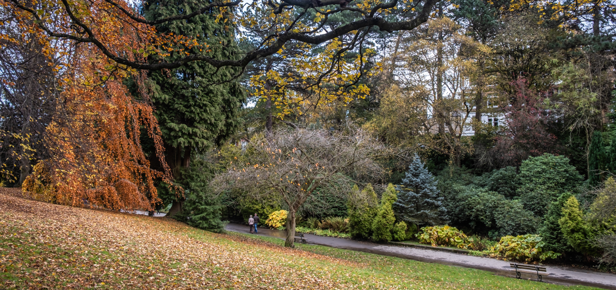 Valley Gardens in autumn 6