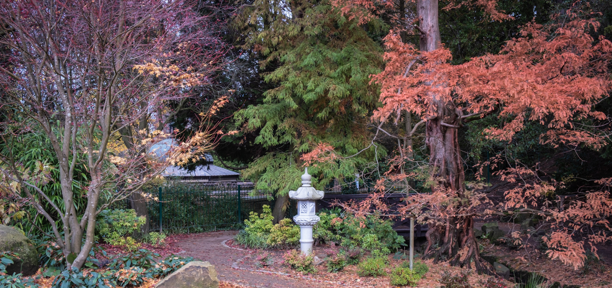 Valley Gardens in autumn 12